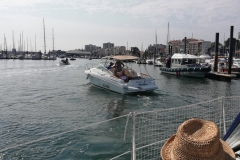 IMG_20190703_104154 IMG_20190703_104154