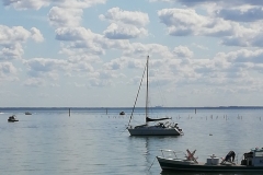 IMG_20190906_122613 IMG_20190906_122613